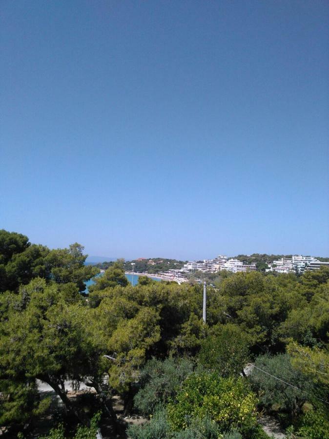 אתונה Comfortable Garden Apt Near Vouliagmeni Beach מראה חיצוני תמונה