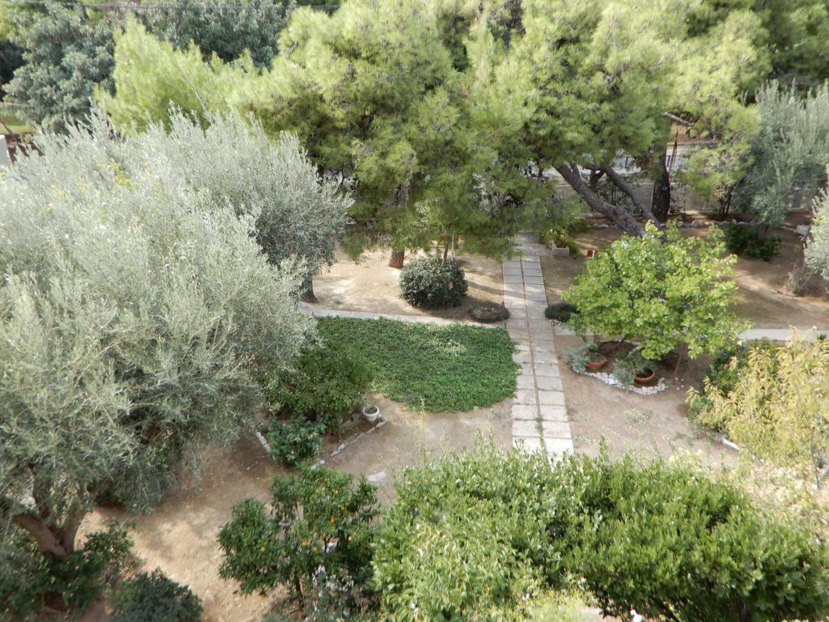 אתונה Comfortable Garden Apt Near Vouliagmeni Beach מראה חיצוני תמונה
